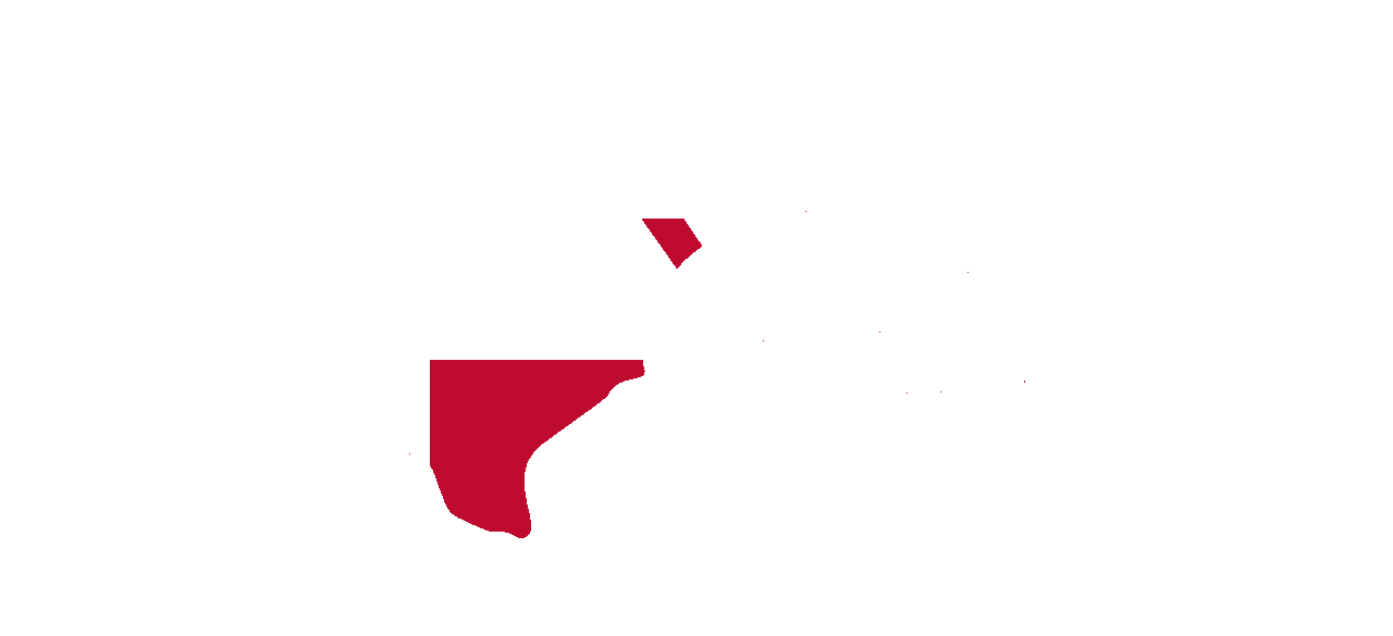 TexasPro Solutions LLC